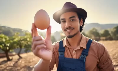 Edible eggs